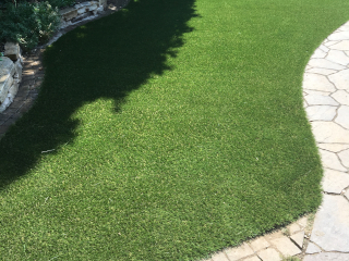 Natural Grass Appearance