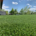 Want to Transform Your Outdoor Space? Try Artificial Landscape Grass