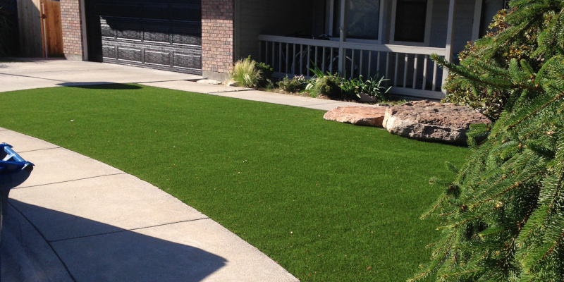 Backyard Grass in Salt Lake City, Utah