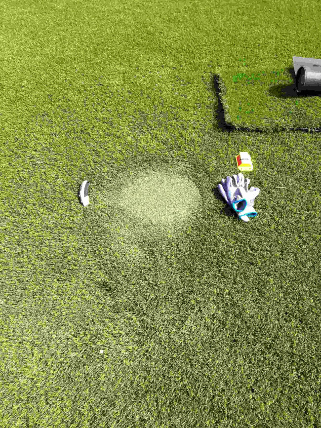 ForeverLawn Select HD