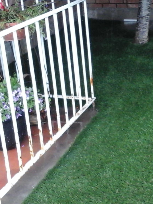 ForeverLawn Select LX