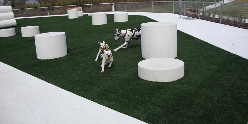 Top Reasons Our K9Grass is Pet Approved